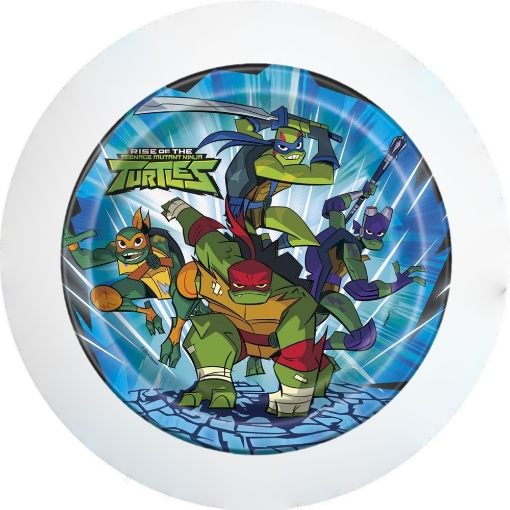 Picture of Ninja Turtles Paper Plates 7in, 10pcs