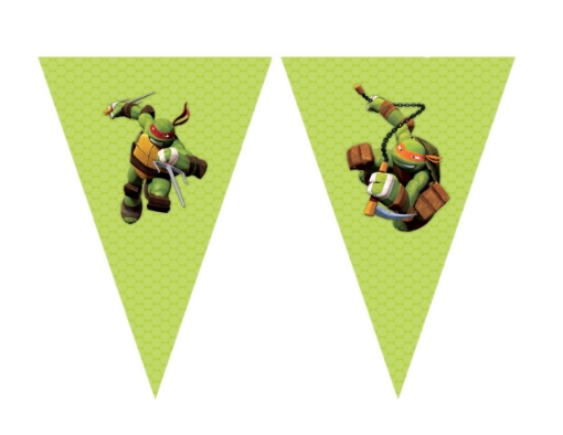 Picture of Ninja Turtles Flags 10 pcs