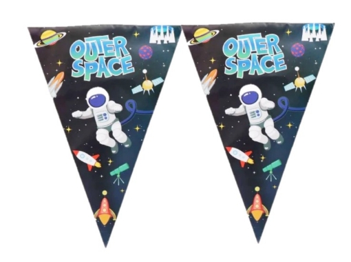 Picture of Space Flags 10 pcs