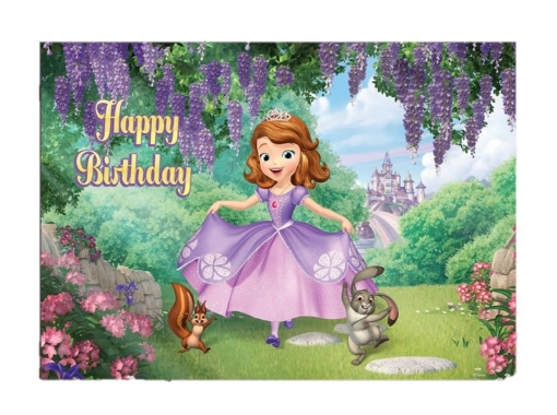 Picture of Sofia The First Theme Backdrop