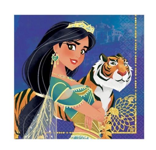Picture of Aladdin Theme Tissues