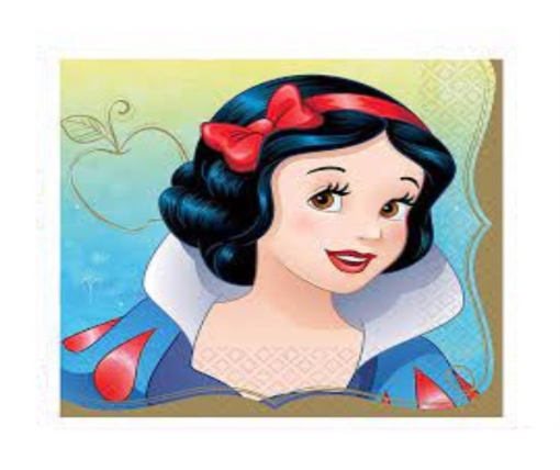 Picture of Snow White Theme Tissues