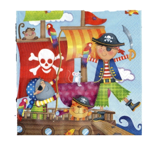 Picture of Little Pirate Theme Tissues