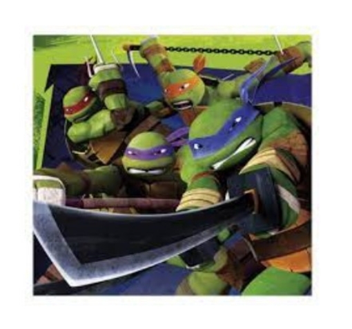 Picture of Ninja Turtles Theme Tissues
