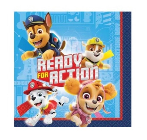 Picture of Paw Patrol Theme Tissues