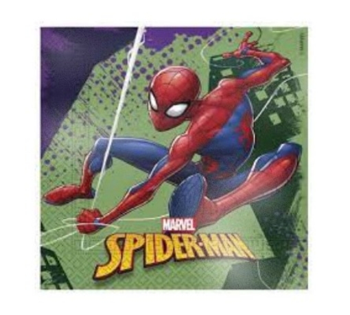 Picture of Spiderman Theme Tissues