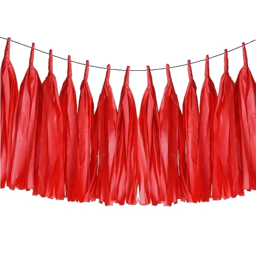 Picture of Paper Tassels