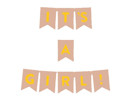 Picture of Its A Girl Banner