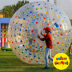 Picture of Zorb Ball Activity