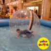 Picture of Zorb Water Ball