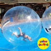 Picture of Zorb Water Ball