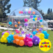 Picture of Bubble House