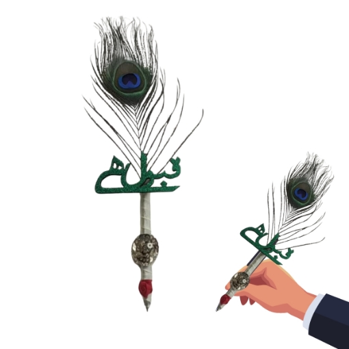 Picture of Qubool Hai Pen with Peacock Feather