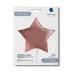 Picture of Rainbow Holo Star Foil Balloon