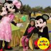 Picture of Cartoon Mascots
