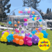 Picture of Bubble House