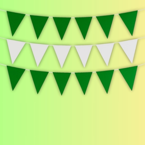 Picture of Independence Day Buntings 🇵🇰