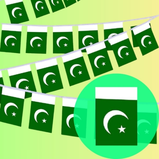 Picture of Pakistan Flag Buntings – Independence Day Hanging Decor for Homes, Schools & Offices 🇵🇰✨